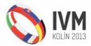 IVM_2013_logo