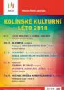 Plakat_kulturni-leto